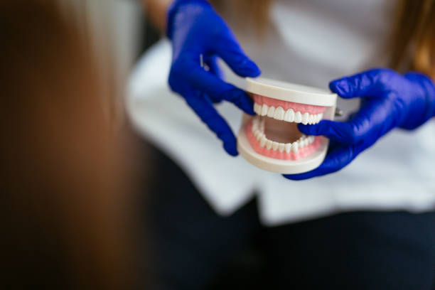 Reliable Country Squire Lakes, IN  Holistic Dental Services Solutions